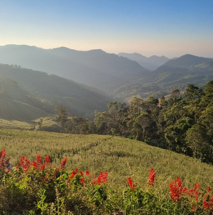 ‘Trust And Access Still Make All The Difference’