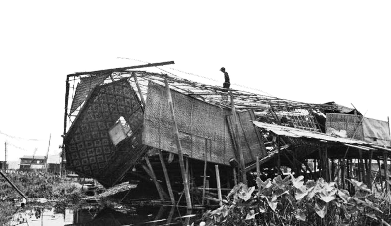 Local Networks, Lifesaving Help